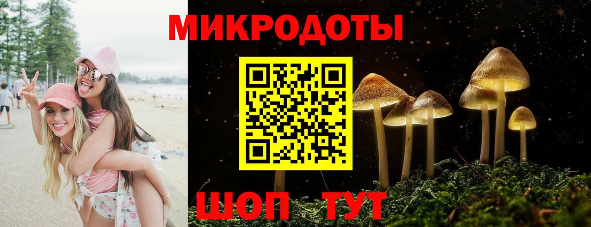 Псилоцибиновые грибы ЛСД Кашира
